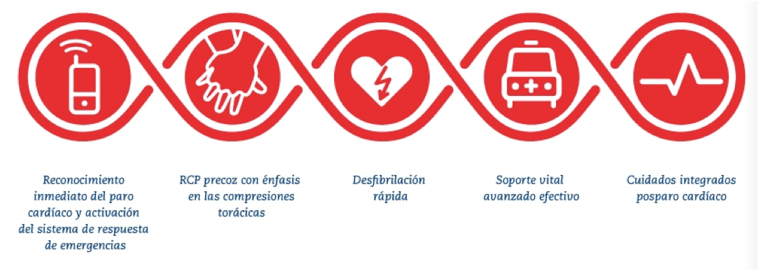 Espacios Cardioseguros - proceso